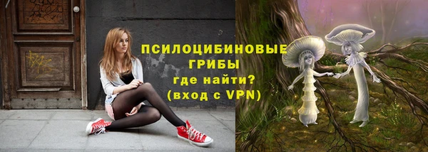 стаф Армянск