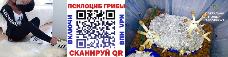 Галлюциногенные грибы прущие грибы  Нягань 